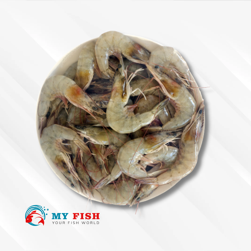 PRAWN