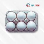 WHITE EGG 6PIC